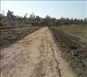 Residential Land in Jolly Grant, Dehradun for sale